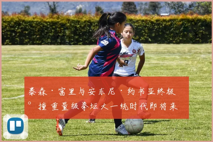泰森·富里与安东尼·约书亚终极碰撞 重量级拳坛大一统时代即将来临